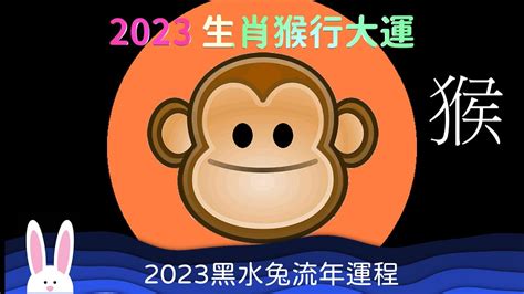 2023猴年運程1980顏色|【1980屬猴幸運色2023】1980屬猴的2023幸運旺運色！快來補強。